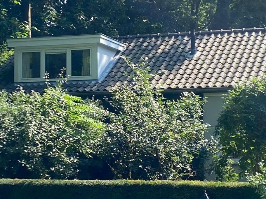 Duinhoek: Luxe Studio, Prachtig En Rustig Gelegen Zeist Eksteriør billede