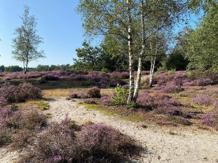 Duinhoek: Luxe Studio, Prachtig En Rustig Gelegen Zeist Eksteriør billede