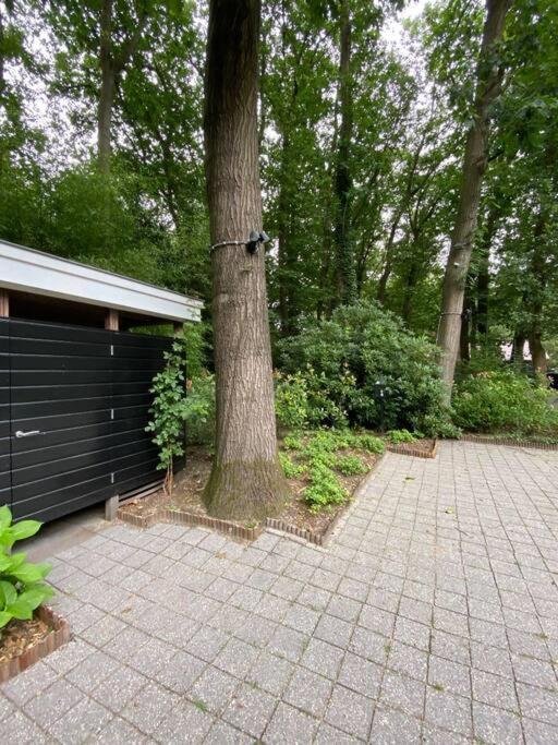 Duinhoek: Luxe Studio, Prachtig En Rustig Gelegen Zeist Eksteriør billede